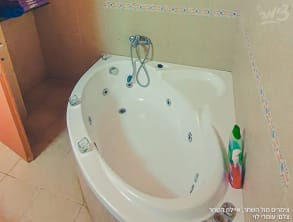 מול%20השחר%20בית%20עץ%20,%20איילת%20השחר