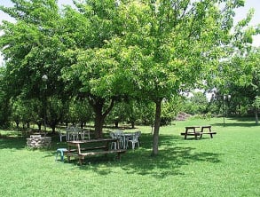 חופשה%20בכפר%20אצל%20נינה%20%20%20בריכת%20שחיה%20,%20שאר%20ישוב