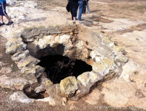 ניווט%20דלית%20אל%20כרמל%20,%20דלית%20אל%20כרמל