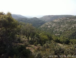 ניווט%20דלית%20אל%20כרמל%20,%20דלית%20אל%20כרמל