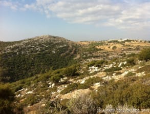 ניווט%20דלית%20אל%20כרמל%20,%20דלית%20אל%20כרמל