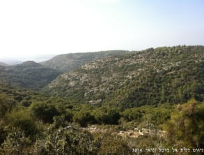 ניווט%20דלית%20אל%20כרמל%20,%20דלית%20אל%20כרמל