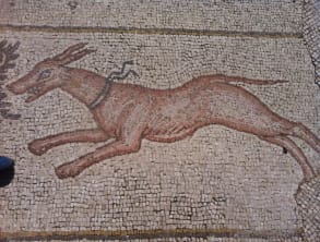 פסיפס%20הציפורים%20בקיסריה%20,%20קיסריה