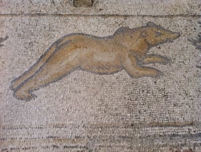 פסיפס%20הציפורים%20בקיסריה%20,%20קיסריה