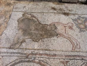 פסיפס%20הציפורים%20בקיסריה%20,%20קיסריה