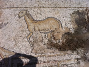 פסיפס%20הציפורים%20בקיסריה%20,%20קיסריה