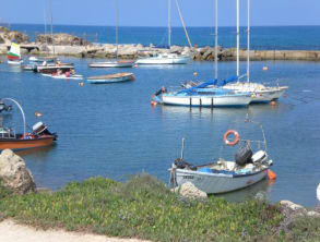 פנקס%20הקטן%20במכמורת%20,%20מכמורת