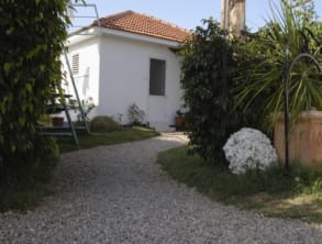 הפנינה%20שבחוף%20הכרמל%20,%20צרופה