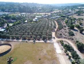 ריינג'רים%20אחוזת%20ציפורי%20,%20ציפורי