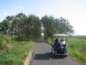 טיול%20באגמון%20החולה%20,%20משפחת%20משש