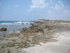 חוף%20דור%20נחשולים%20,%20חוף%20דור