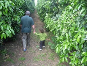 אצל%20אלי%20בפרדס%20,%20Innsbruck