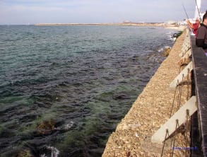 נמל%20תל%20אביב%20,%20תל%20אביב