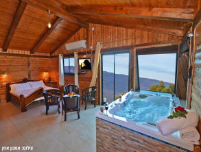 זית%20חלב%20ודבש%20,%20חזון