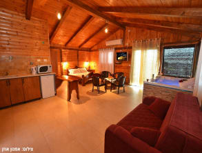 זית%20חלב%20ודבש%20,%20חזון