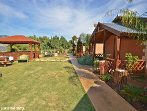 זית%20חלב%20ודבש%20,%20חזון