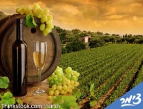 קלמה%20-%20מלון%20בוטיק%20,%20כפר%20שמאי