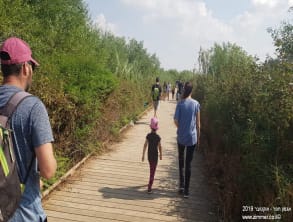אגמון%20חפר%20,%20אגמון%20חפר
