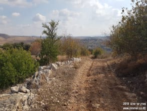 פארק%20שוהם%20-%20כנסית%20תנשמת%20,%20שוהם