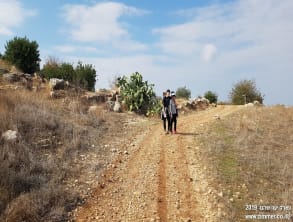 פארק%20שוהם%20-%20כנסית%20תנשמת%20,%20שוהם