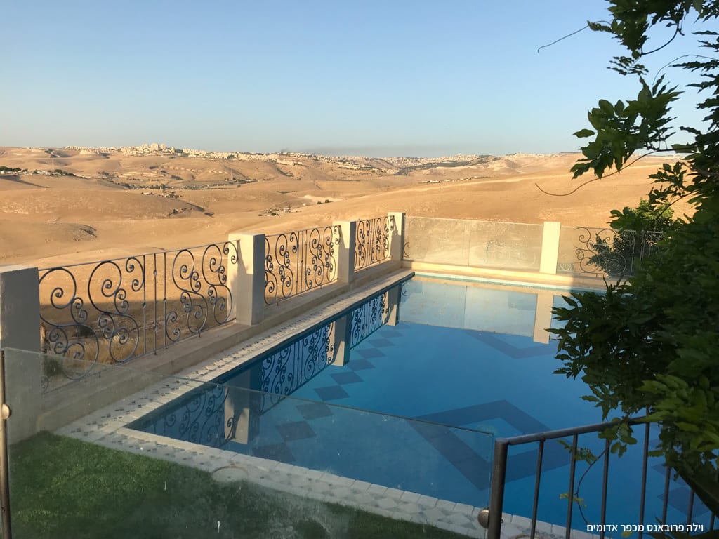 בריכה בחצר