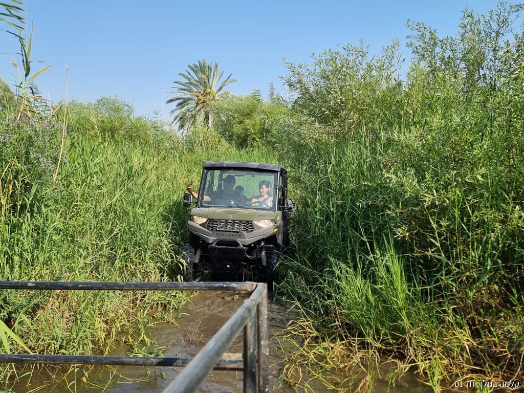 טיולי ריינג'רים