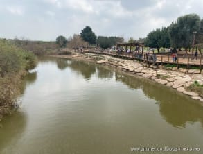 גשר%20הצבים%20,%20כפר%20ויתקין