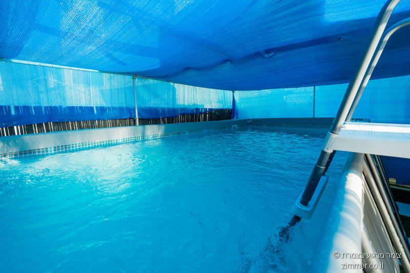 בחצר ובבריכה