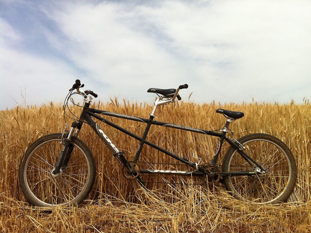 בייק פרינדלי - Bike Friendly