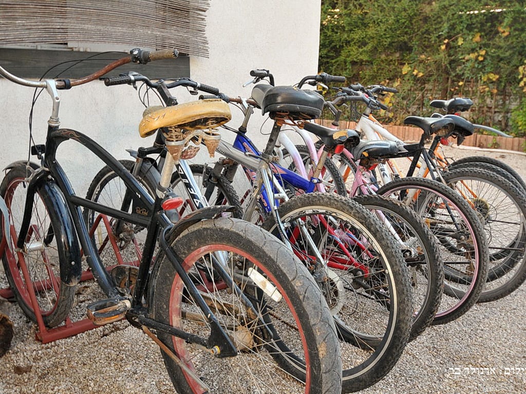 אטרקציות והסביבה