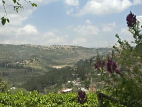 הבוסתן%20הרומנטי%20,%20עין%20כרם
