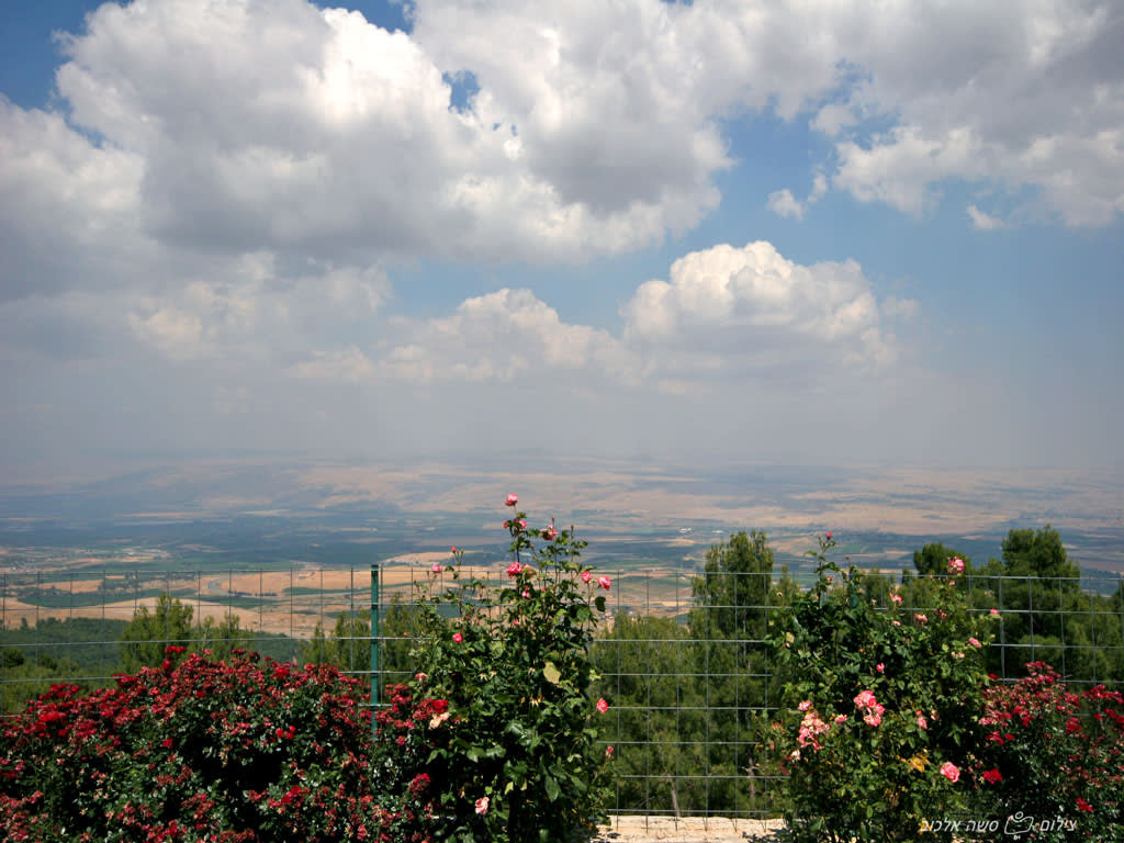החצר והנוף