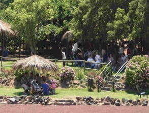 בוסתן%20בראשית%20בגולן%20%20%20קטיף%20פירות%20עצמי%20,%20עין%20זיוון