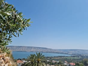 אצל%20דניאל%20,%20מושבה%20כנרת