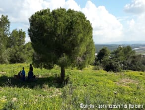 ניווט%20עין%20צור%20-%20גן%20הנדיב%20,%20משפחת%20משש