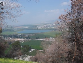 picture