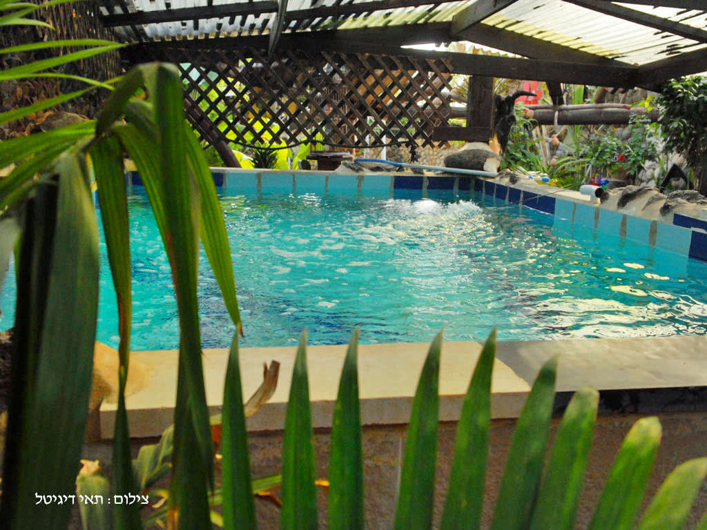 צימר בית החלוקים בטבריה צימרים בטבריה