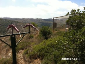 חי%20בר%20כרמל%20,%20חיפה