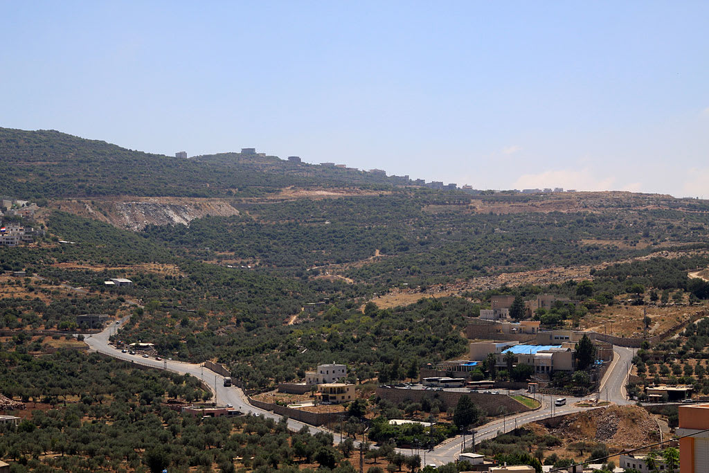 תמונות נוספות