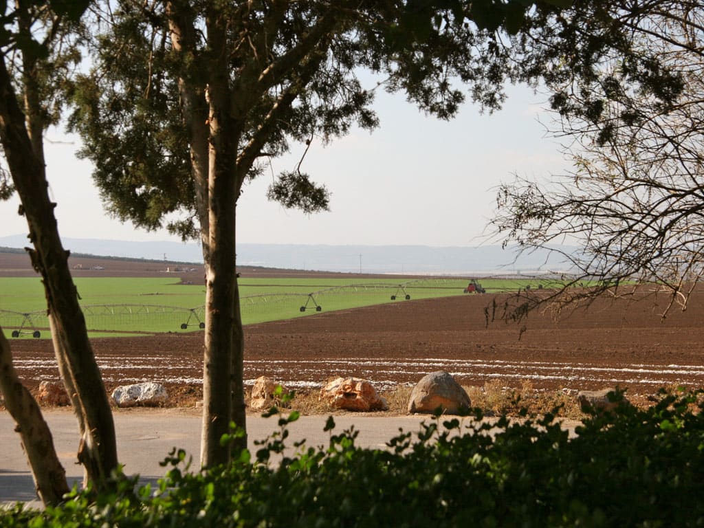 סרט וידאו