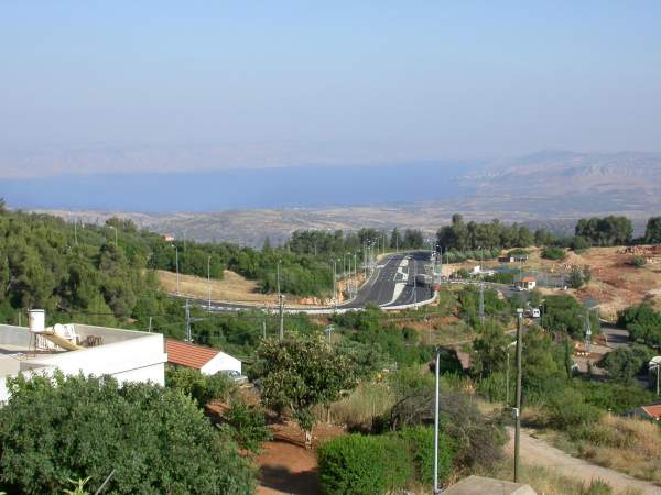 החצר והבריכה