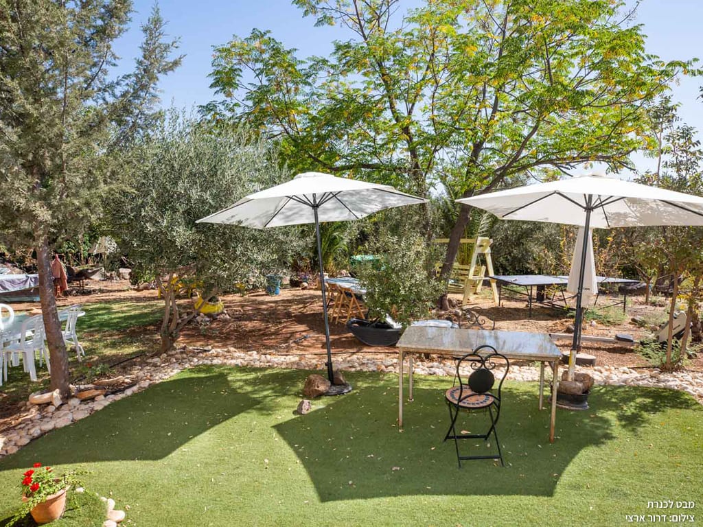 החצר
