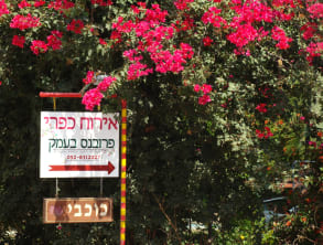 פרובנס%20בעמק%20,%20כפר%20ברוך