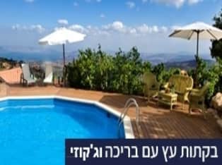 לדף הבית של לוין באמירים