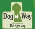 קראו עוד על חוות Dog Way - פנסיון ואילוף כלבים
