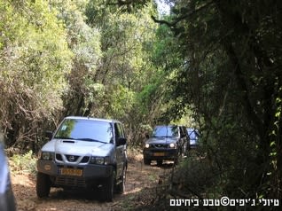 טיולי ג`יפים