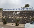 קראו עוד על מוזיאון המושבה וחצרות איכרים