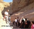 קראו עוד על אמין אבו חייה - מורה דרך מוסמך