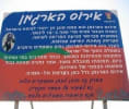 קראו עוד על נתניה - שמורת אירוס הארגמן