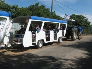 רכבת הצוק